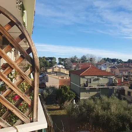 Di Delfina